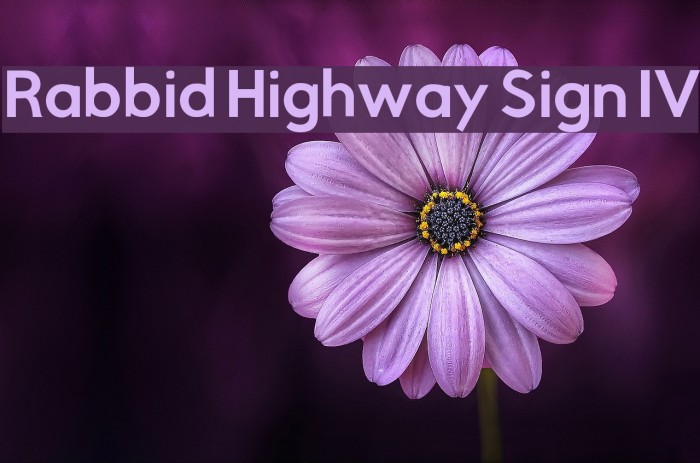 Rabbid Highway Sign IV フォント examples