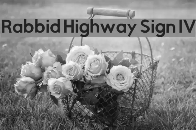 Rabbid Highway Sign IV フォント examples