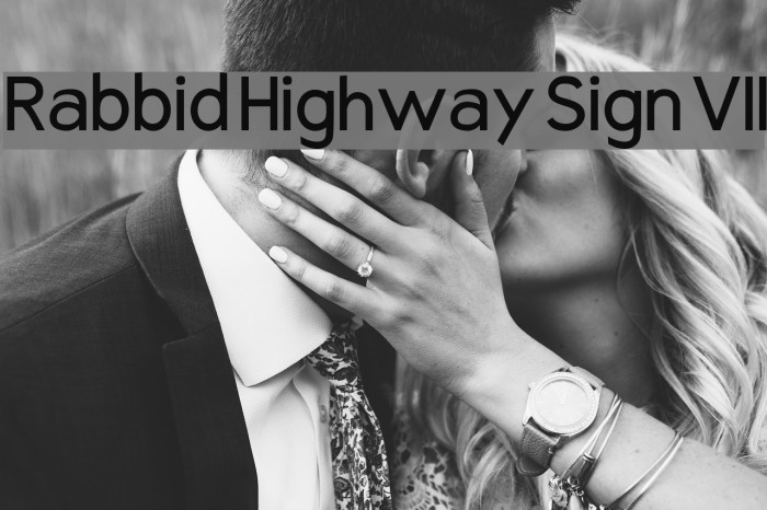Rabbid Highway Sign VII Font examples