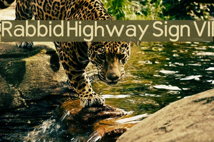 Rabbid Highway Sign VII Font examples