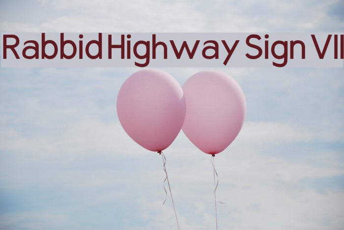 Rabbid Highway Sign VII Font examples