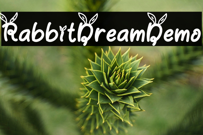 Rabbit Dream Demo Example 1