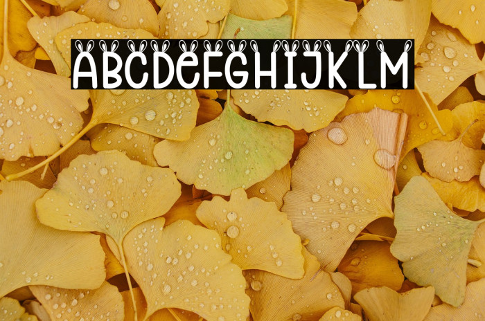 Rabbit Ears Example 3