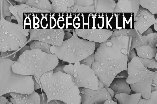 Rabbit Ears Font examples