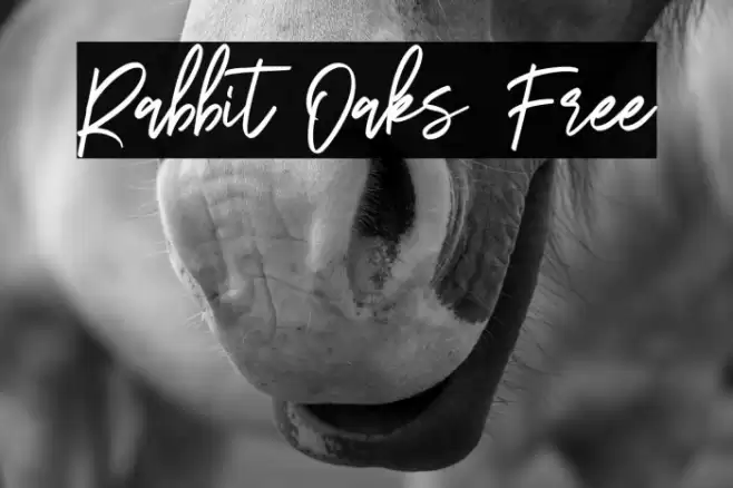 Rabbit Oaks Free Font examples