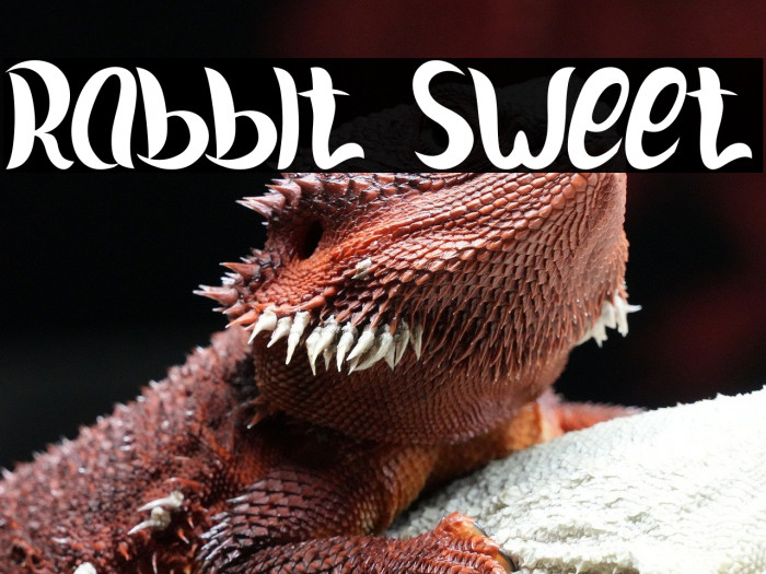 Rabbit Sweet Example 3