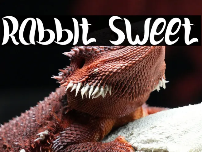 Rabbit Sweet Example 3