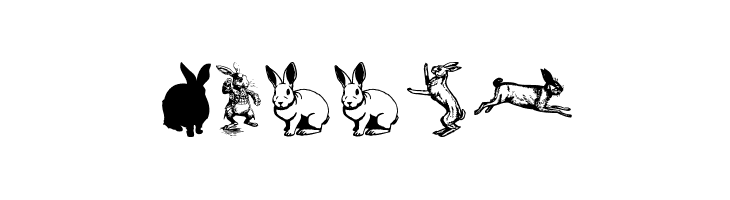Rabbit Font