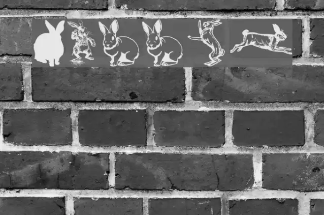 Rabbit Font examples