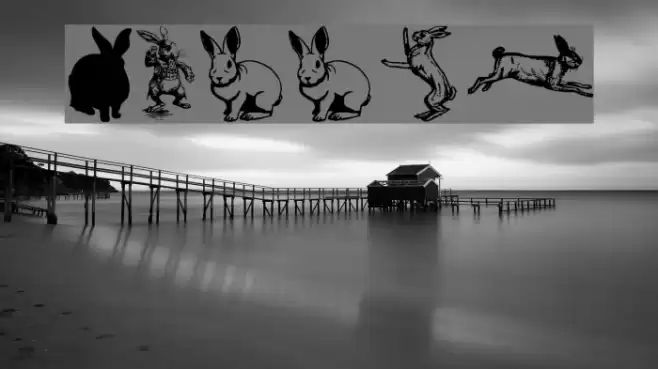 Rabbit Font examples