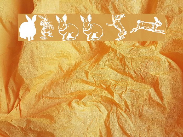 Rabbit Font examples
