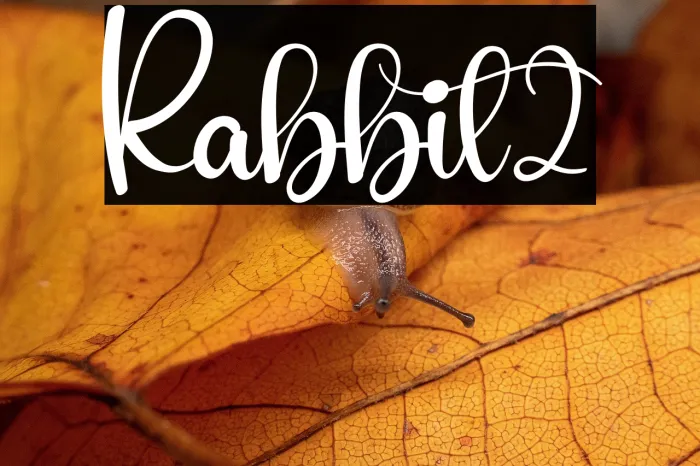 Rabbit2 Example 2