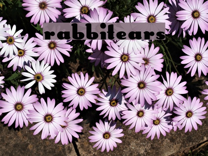 RabbitEars Font examples