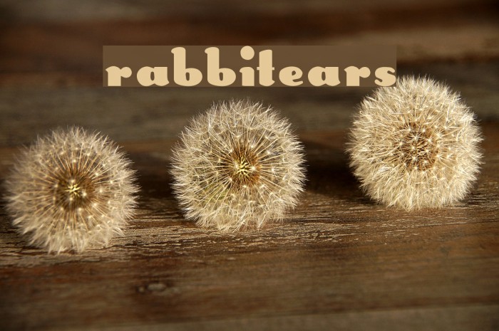 RabbitEars Font examples