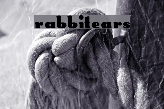 RabbitEars Example 3