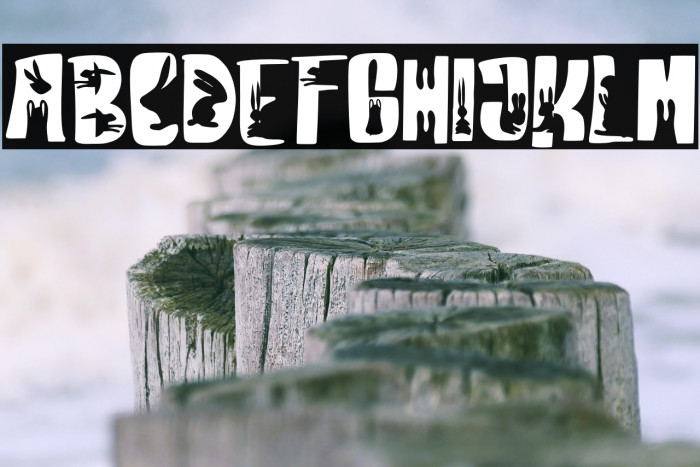 RabbitFREE Example 2