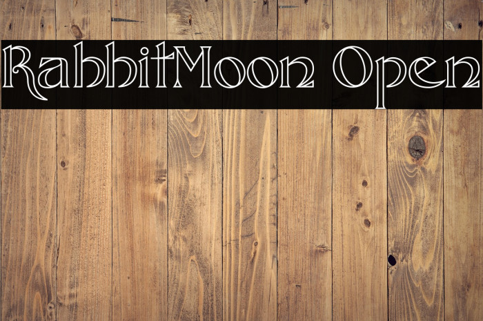 RabbitMoon Open Example 1