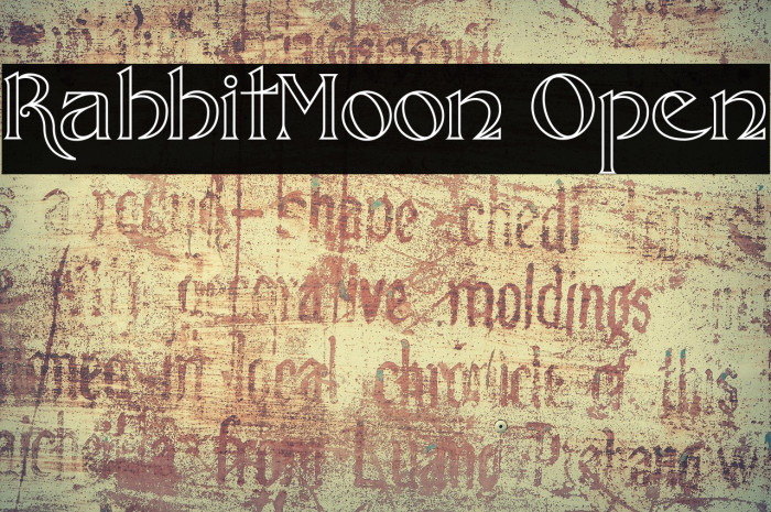 RabbitMoon Open Example 2