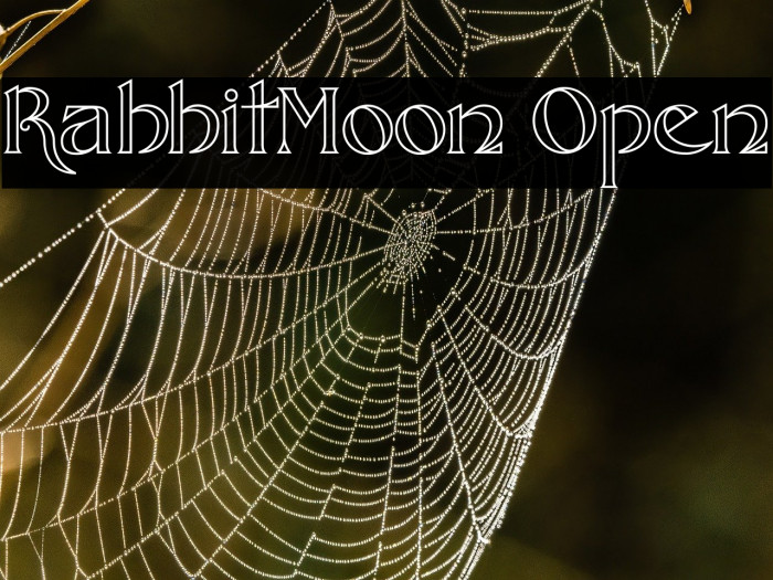 RabbitMoon Open Example 3