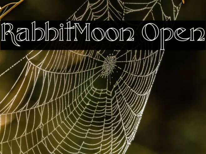 RabbitMoon Open Example 3