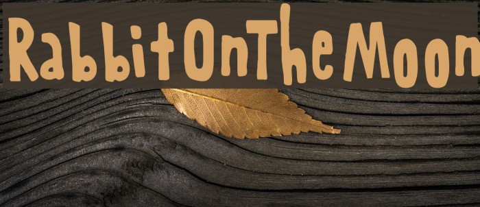 RabbitOnTheMoon Font examples