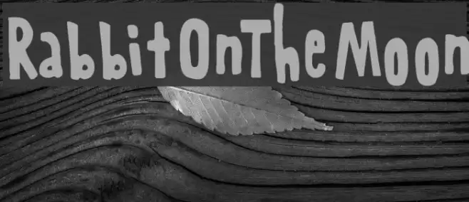 RabbitOnTheMoon Font examples