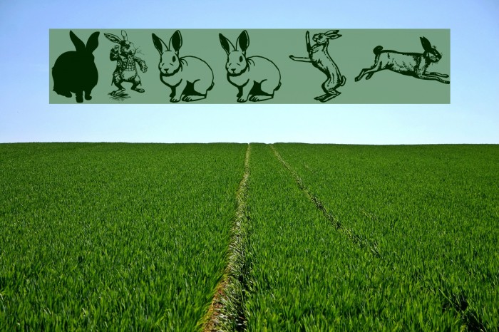 Rabbit Font examples