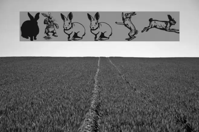 Rabbit Schriftart examples