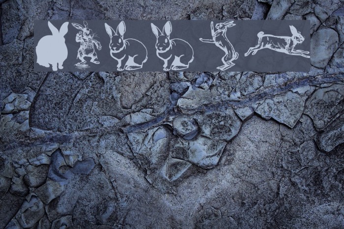 Rabbit Font examples