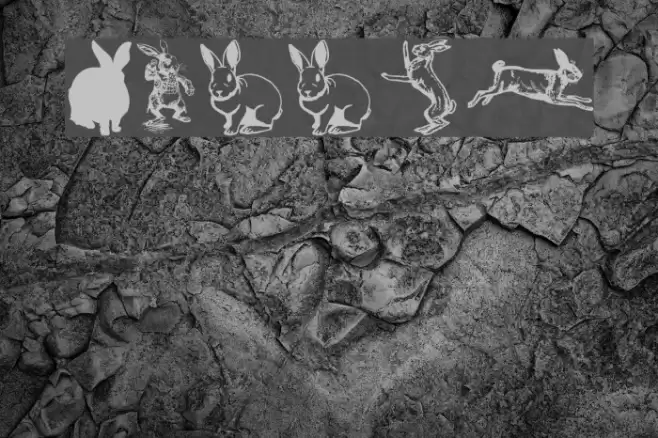 Rabbit Schriftart examples
