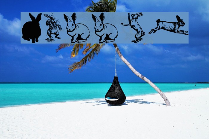 Rabbit Font examples