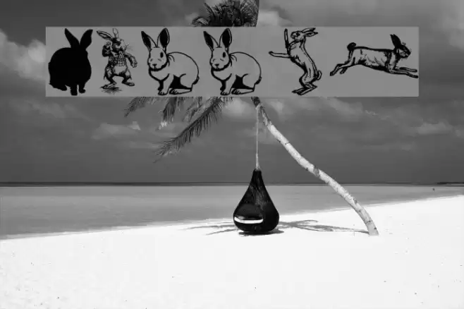 Rabbit Schriftart examples