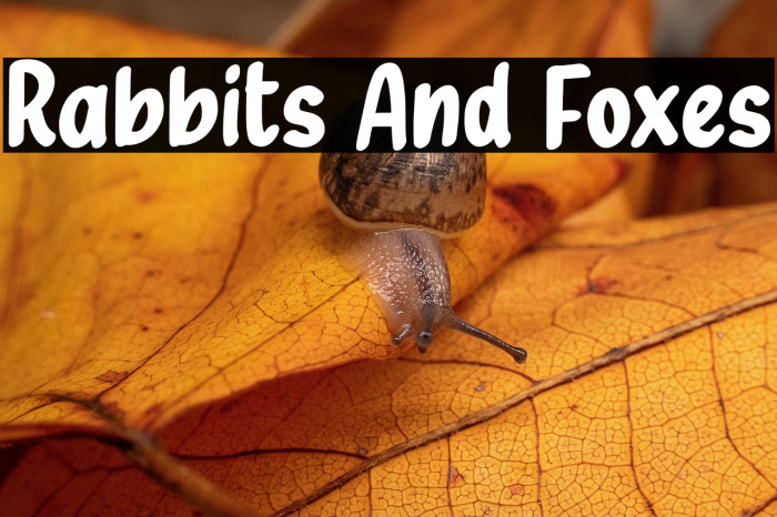Rabbits And Foxes Example 1