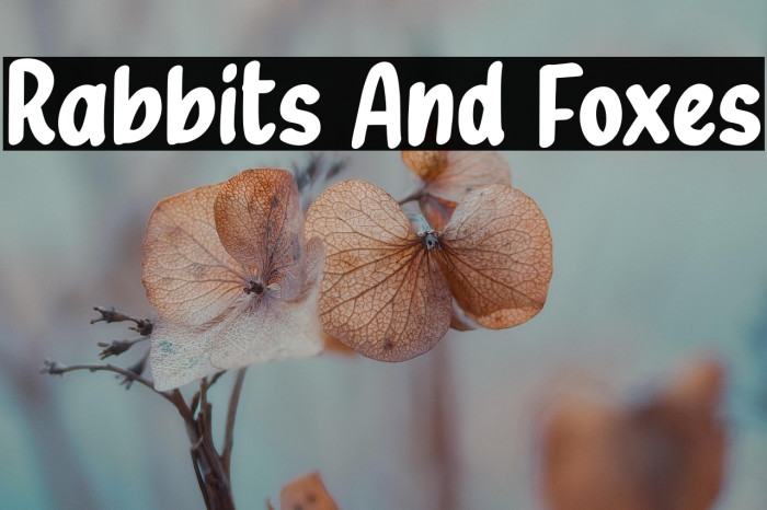 Rabbits And Foxes Example 3