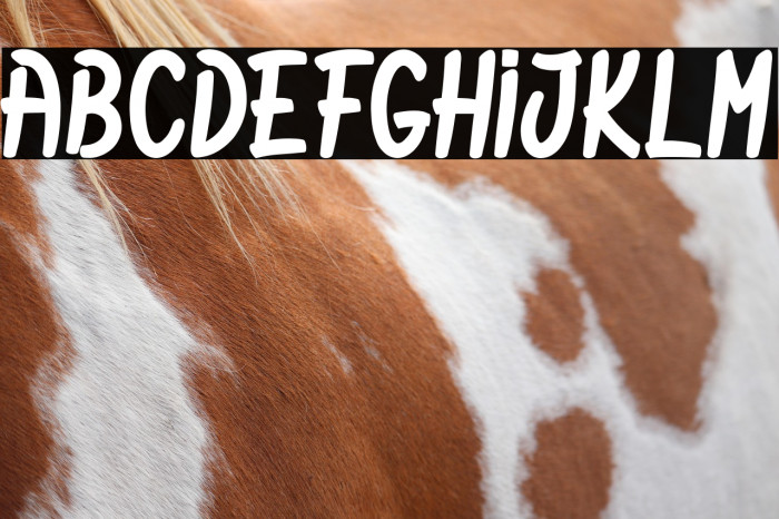 Rabbitz Hole_PersonalUseOnly Example 2