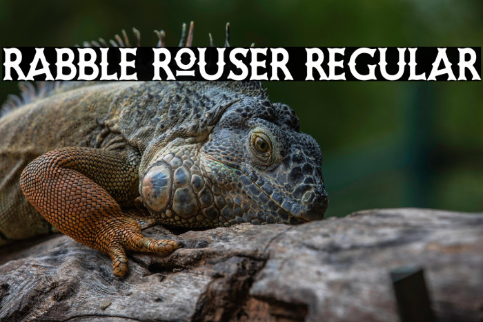 Rabble Rouser Regular Example 1