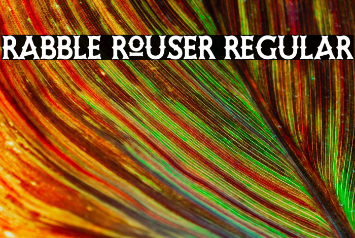 Rabble Rouser Regular Example 2