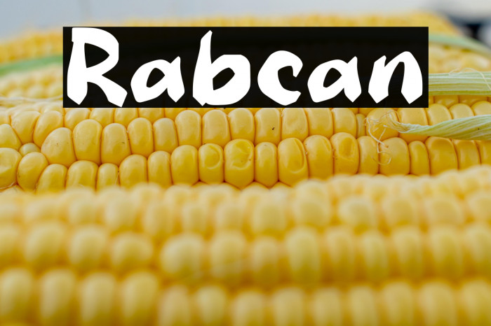 Rabcan Example 1