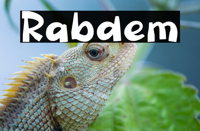 Rabdem Example 2