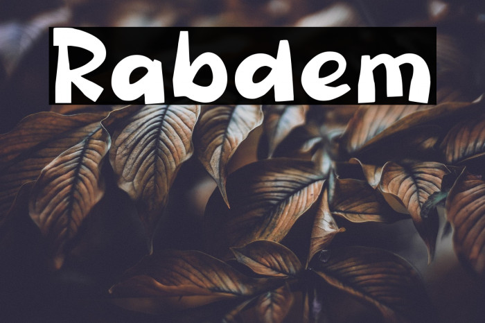 Rabdem Example 3