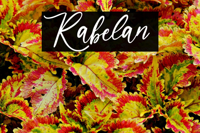 Rabelan  Example 1
