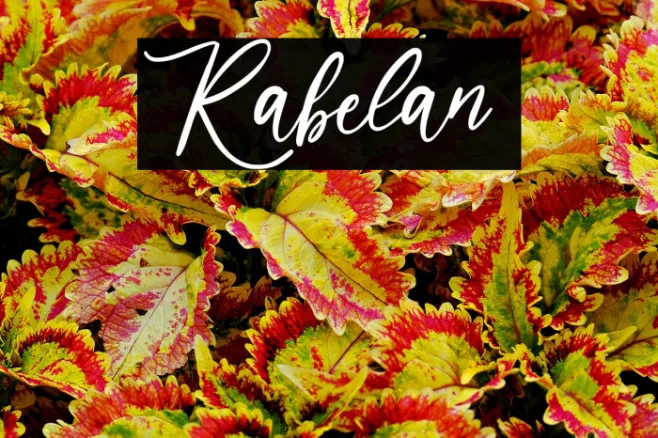 Rabelan  Example 1
