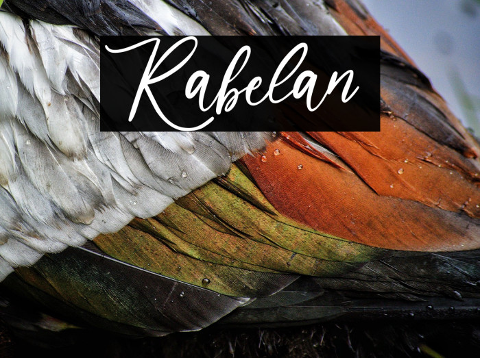Rabelan  Example 3