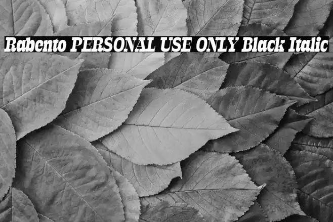 Rabento PERSONAL USE ONLY Black Italic Font examples