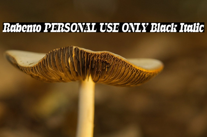 Rabento PERSONAL USE ONLY Black Italic Example 3