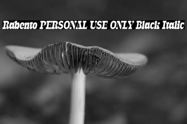 Rabento PERSONAL USE ONLY Black Italic Font examples