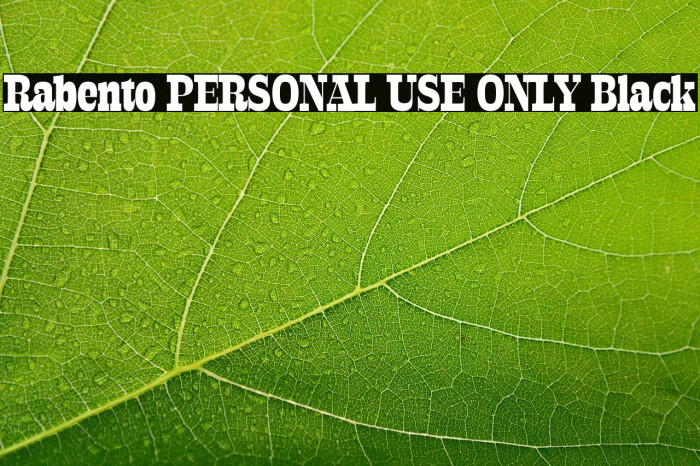 Rabento PERSONAL USE ONLY Black Example 1