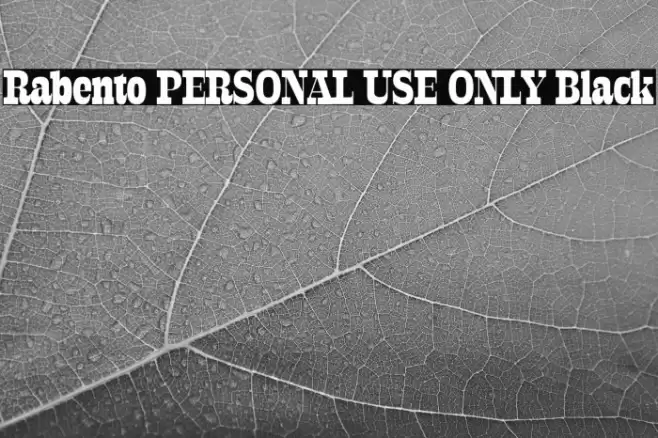 Rabento PERSONAL USE ONLY Black Font examples