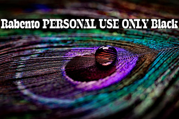 Rabento PERSONAL USE ONLY Black Example 3