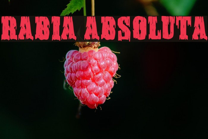 Rabia Absoluta Example 1